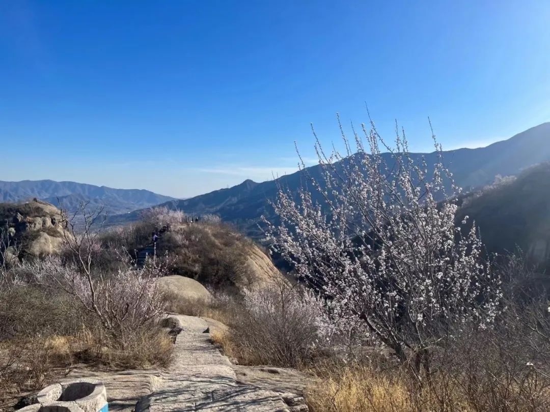 北京凤凰岭景区门票优惠政策_北京凤凰岭自然风景区门票_北京凤凰岭门票