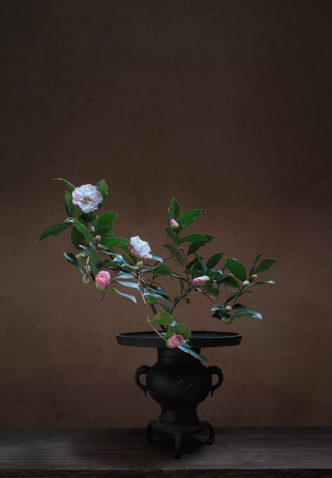 一朵花，拥有六度精神