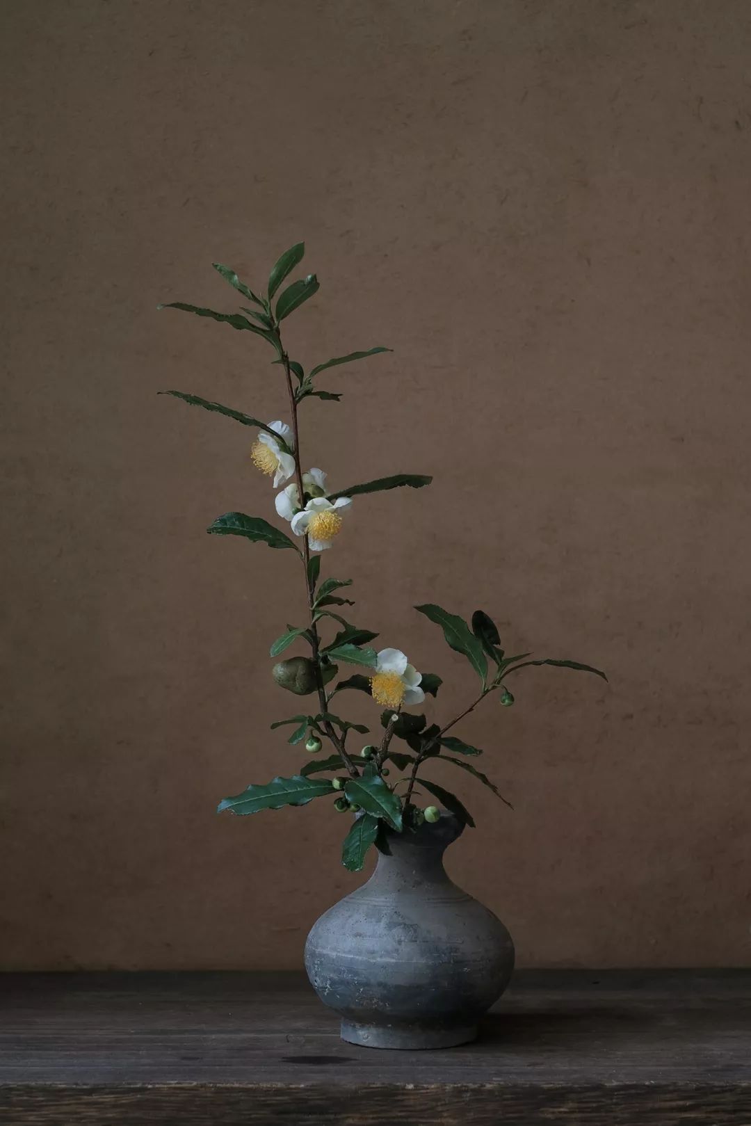 一朵花，拥有六度精神