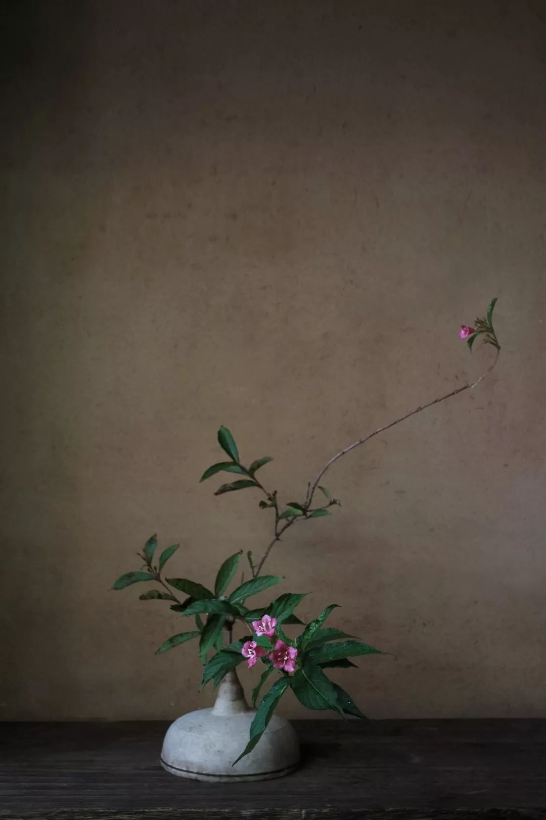 一朵花，拥有六度精神