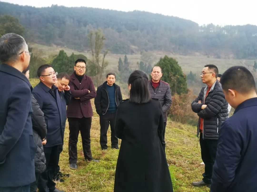 调研组一行在达川区罐子镇开展实地考察,达川区陈黎副区长,达川区文体