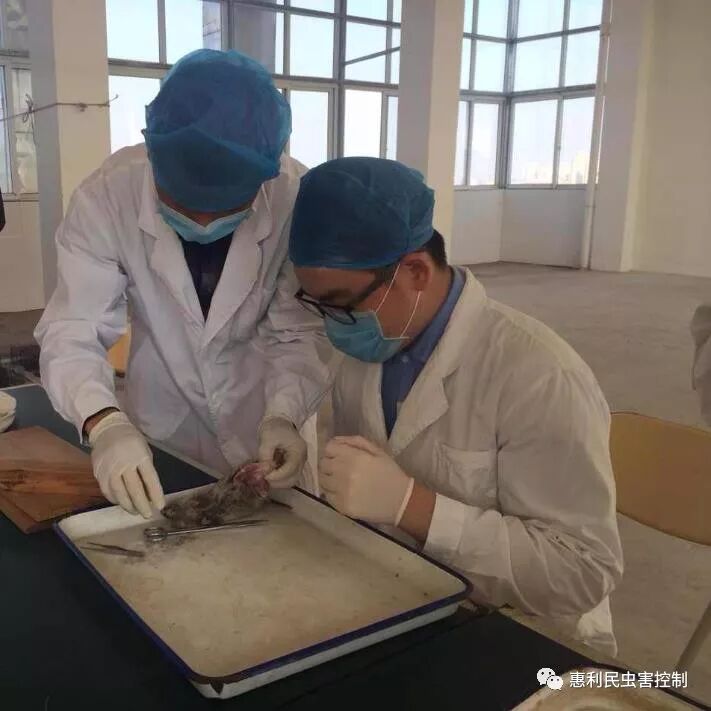 健康中国、惠民力量--惠利民公共卫生研究院成立了！