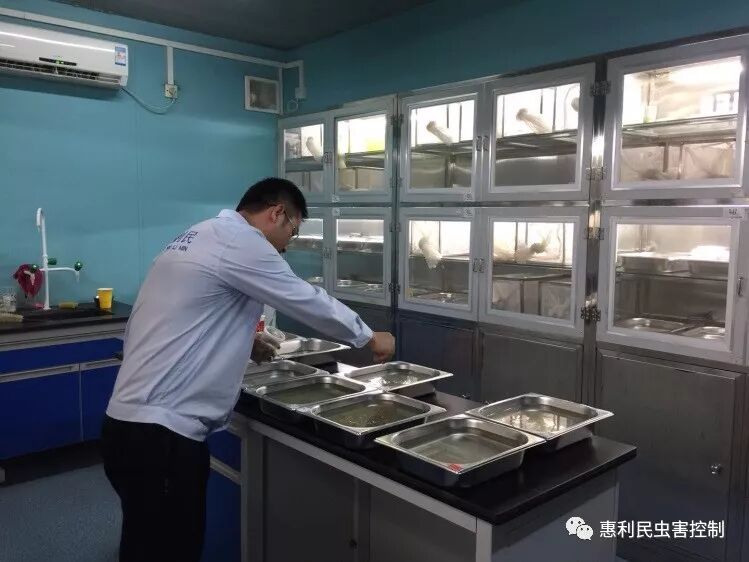 健康中国、惠民力量--惠利民公共卫生研究院成立了！