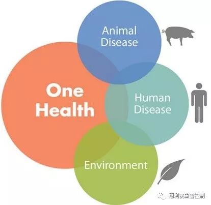 健康中国、惠民力量--惠利民公共卫生研究院成立了！