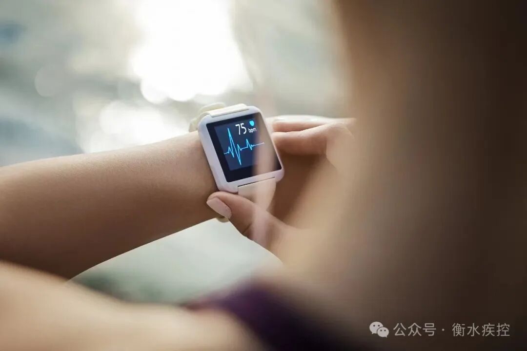 冬天怎么减肥