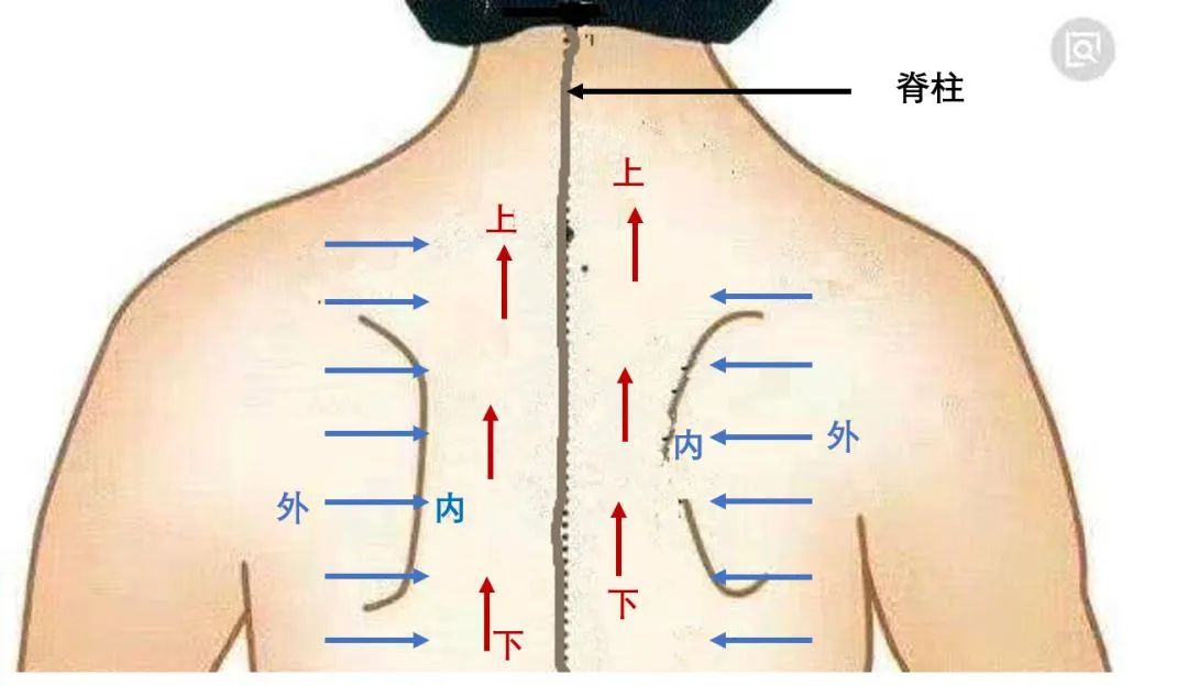 卧床患者如何拍背?三真美小护来教你!