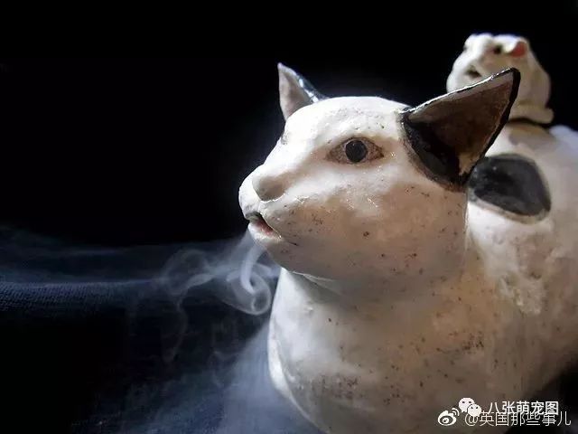 每吃一個牛角包，就要犧牲一只橘貓？！ 寵物 第6張