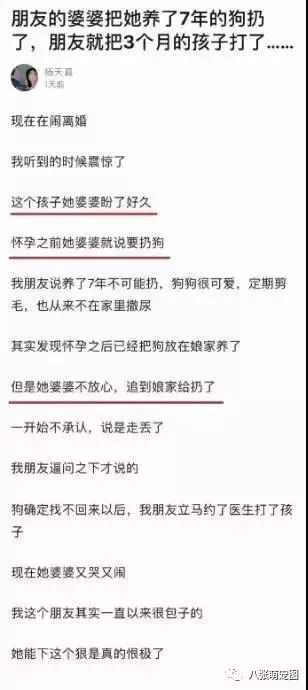 打掉懷了3個月的孩子，因為婆婆扔了我養7年的狗！ 寵物 第3張