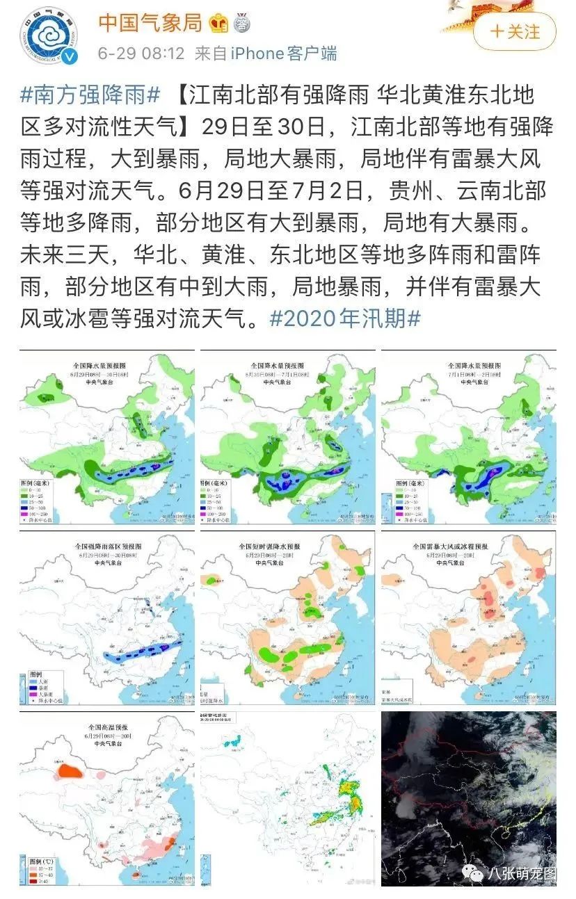 連日的暴雨過後，那些流浪貓都怎麼樣了？ 寵物 第6張