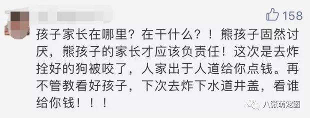 9歲男孩扔炮仗炸狗反被咬傷，家長索賠5萬，真敢想！ 寵物 第6張