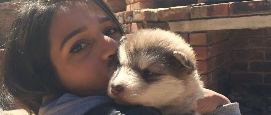 非洲女孩想养一只“小狗狗”，挑了一只回去后竟然……