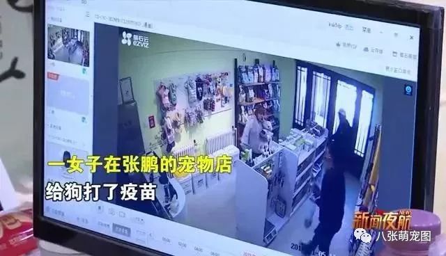 打疫苗打死狗？主人在店裡崩潰大哭…結果竟是在演戲！ 寵物 第3張