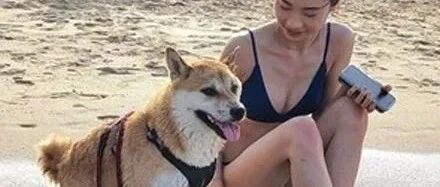 带狗子去海边玩，它却立马跑去和美女搭讪，网友一看：没白养！
