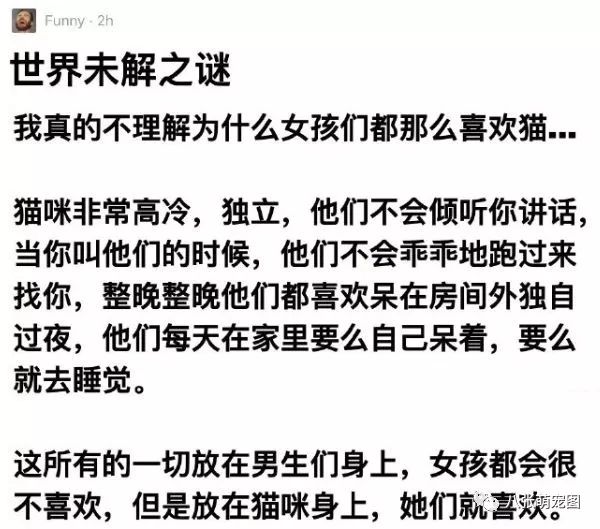 「說真的，我不理解女生為什麼會喜歡貓…」 寵物 第3張