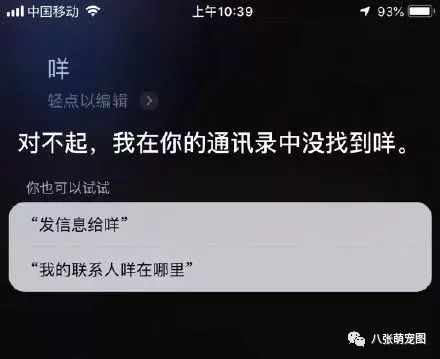 如果一只貓對著siri喵，siri會怎麼回答？ 寵物 第17張