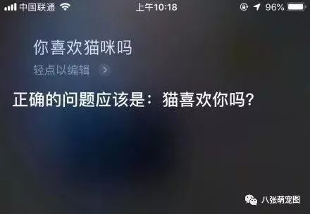 如果一只貓對著siri喵，siri會怎麼回答？ 寵物 第15張