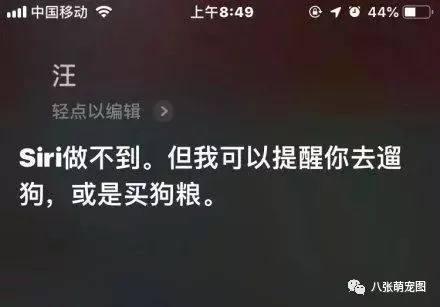 如果一只貓對著siri喵，siri會怎麼回答？ 寵物 第11張