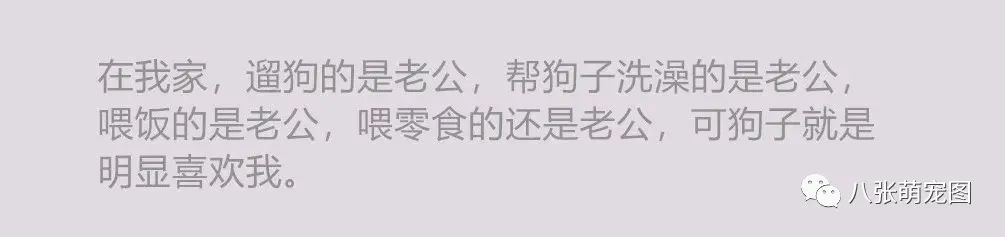 你喜歡爸爸還是媽媽？這個死亡問題終於輪到狗子了！ 寵物 第5張