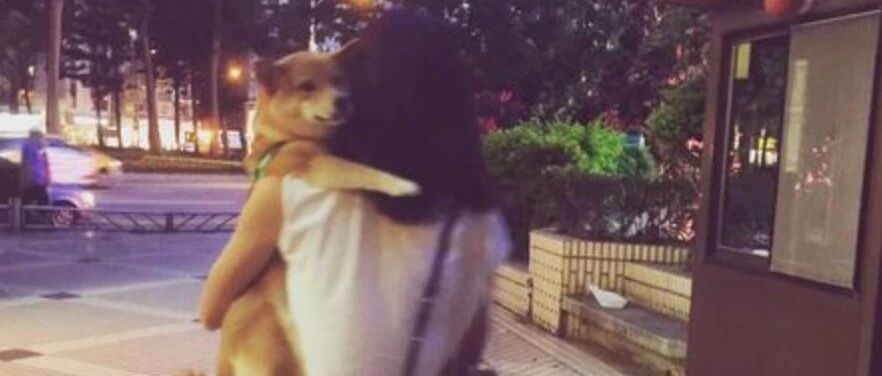 “谁能还我一只狗？”爱犬遭后车追撞，惨死怀中，妈妈情绪崩溃…