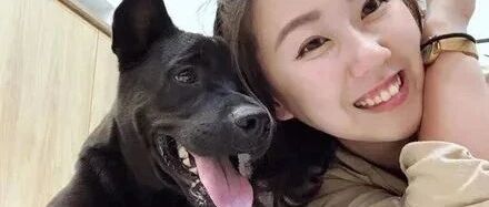 出去玩5天没带狗子，女主人回家想跟它拥抱，结果......