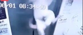 狗绳被电梯夹住，小狗悬空10秒…这一幕看得人心都提到了嗓子眼！