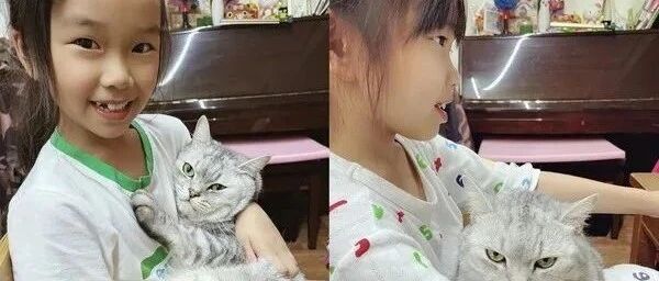 最爱小姐姐，包子脸胖猫馈头蹭手讨抱，爸醋：要霸占我女儿多久？