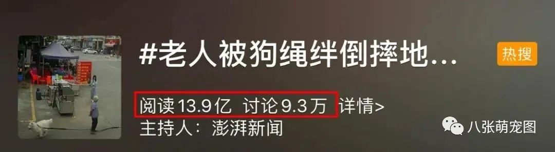 八旬老人遭遇飛來橫禍，被狗繩絆倒後搶救無效身亡，到底是誰的責任？ 寵物 第4張