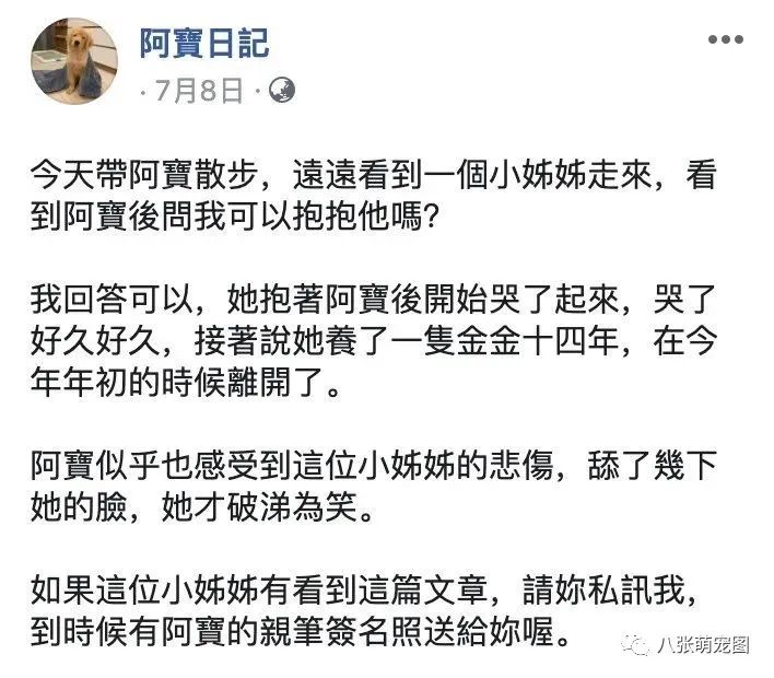 遛狗時突然跑過來一位小姐姐抱著小金毛痛苦，原來…… 寵物 第12張