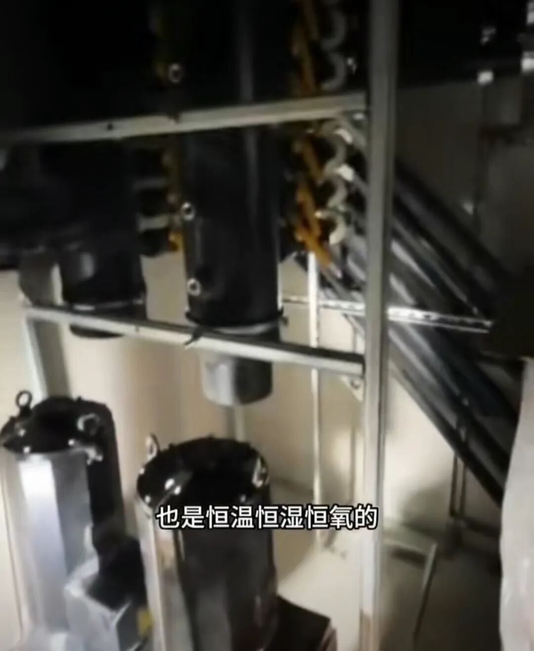 网红炫富被禁言