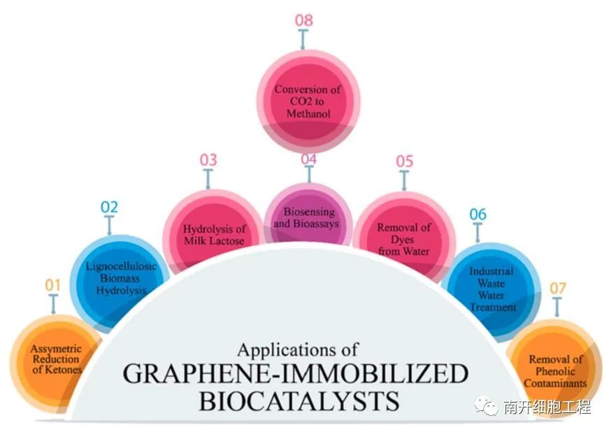 石墨烯为基底开发多功能纳米生物催化系统的图9