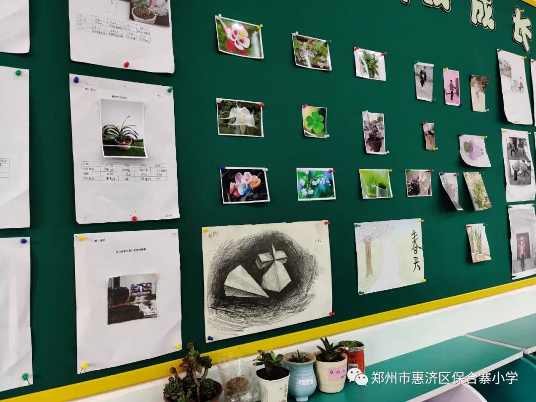 相约春天 共植绿色——保合寨小学植树节活动