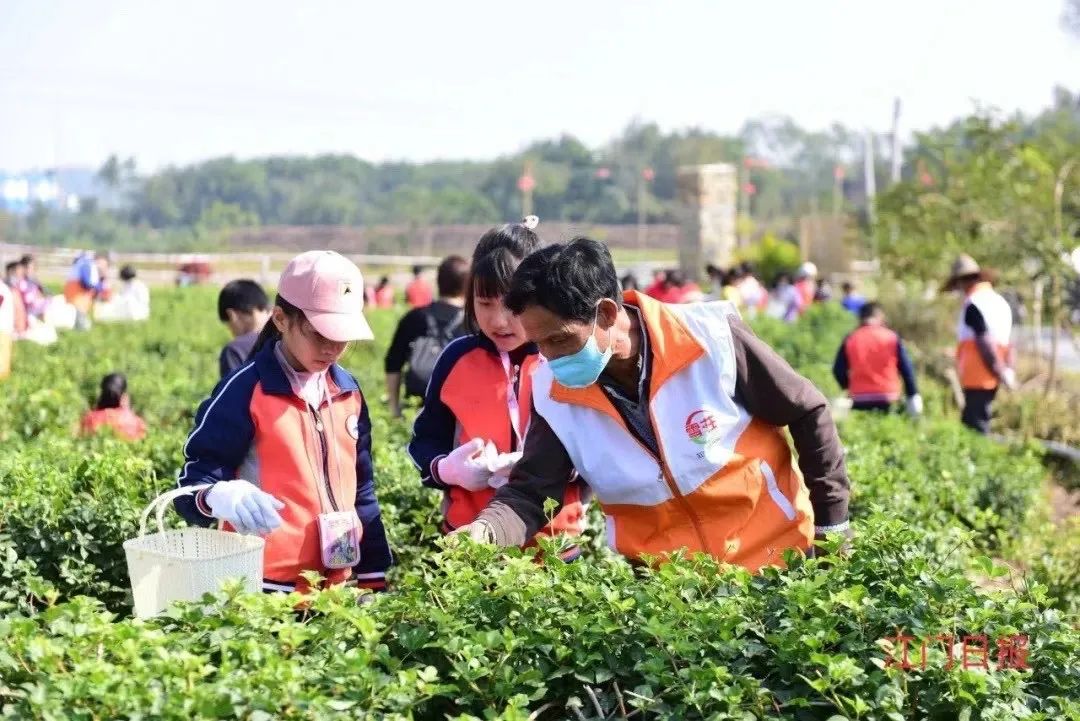 汕尾市農業農村局