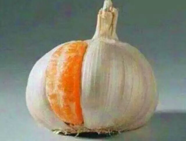 转为啥是露马脚不是露人脚看看这些俗语背后的文化故事