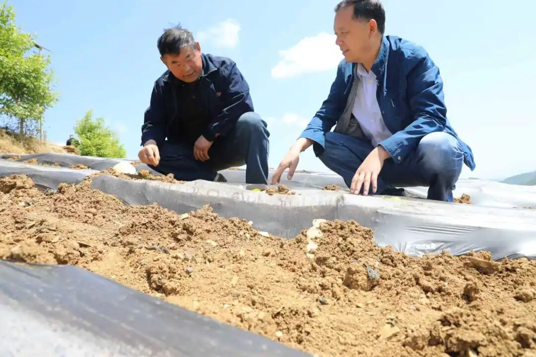 微信图片_20260507091104.jpg