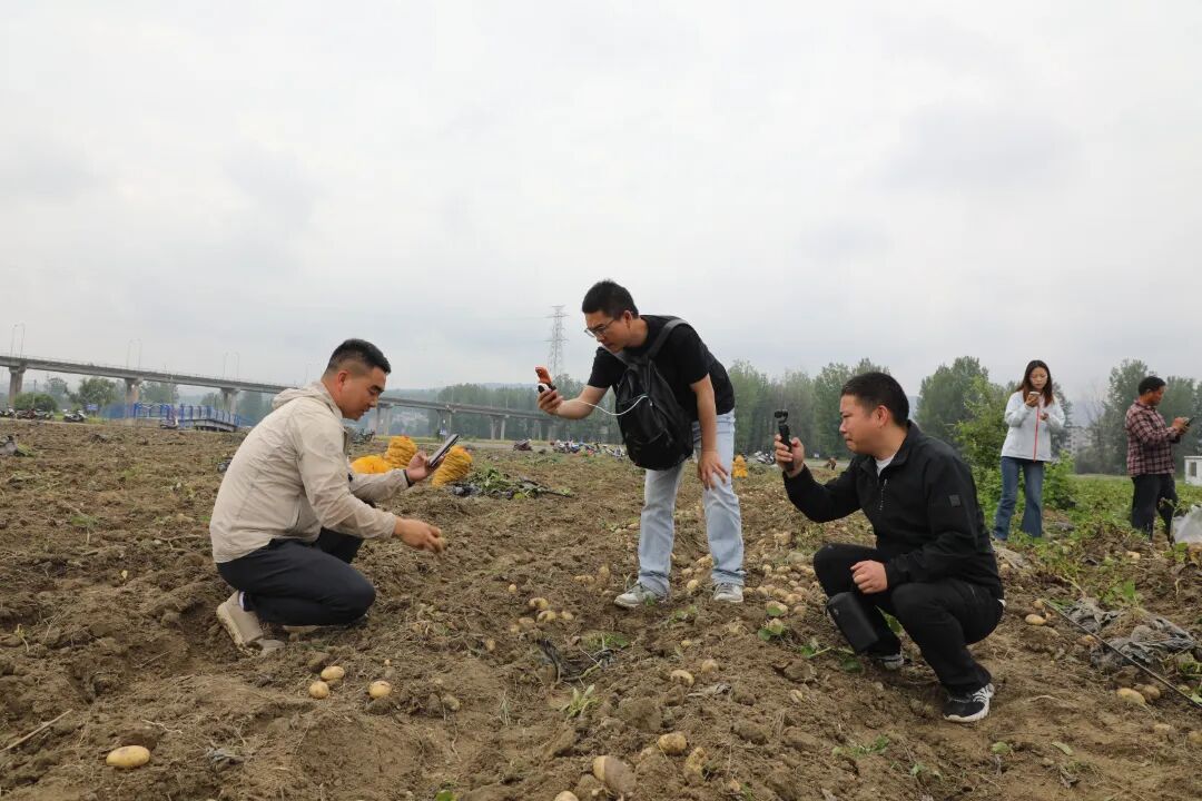 微信图片_20260518124304_548_217.jpg