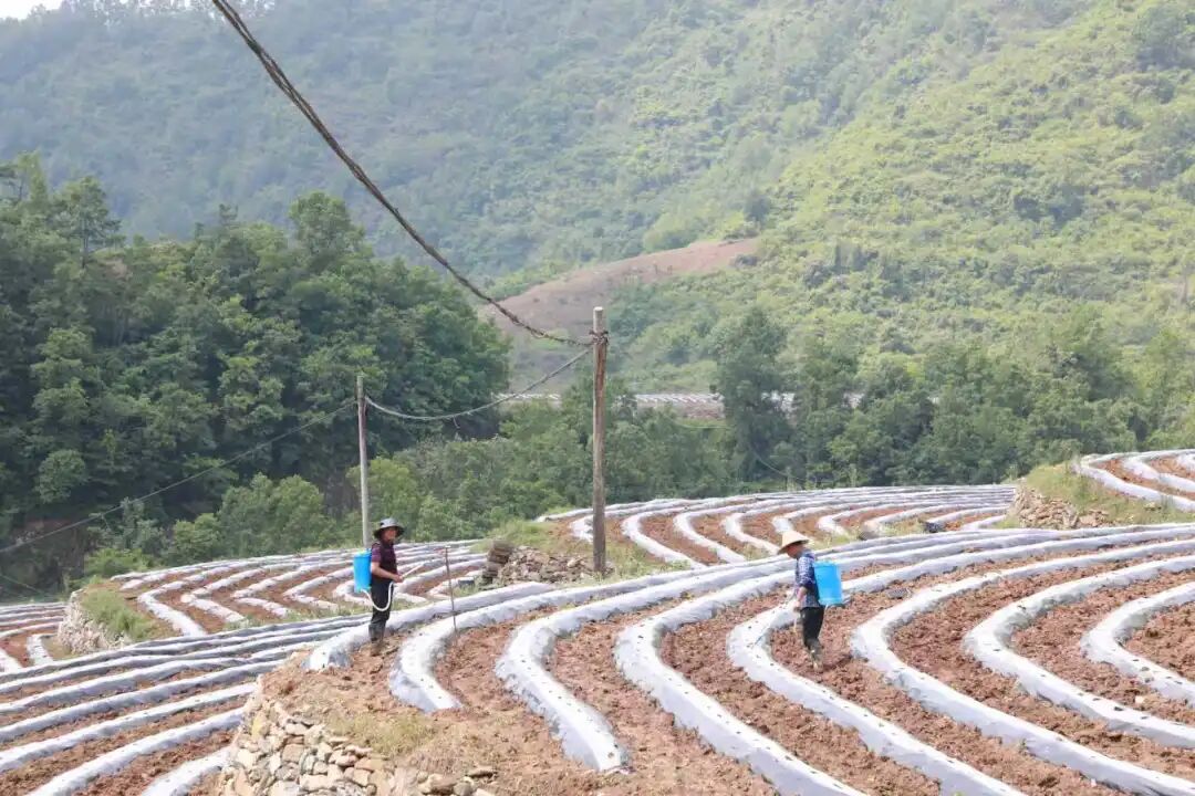 微信图片_20260507091058.jpg