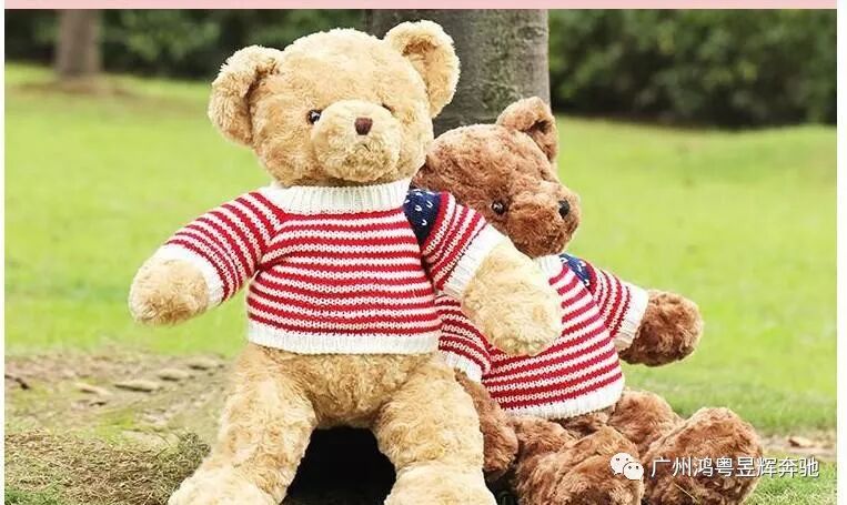 【星徽一載 璀璨新征程】 鴻粵昱輝一周年(nián)店(diàn)慶(圖10)