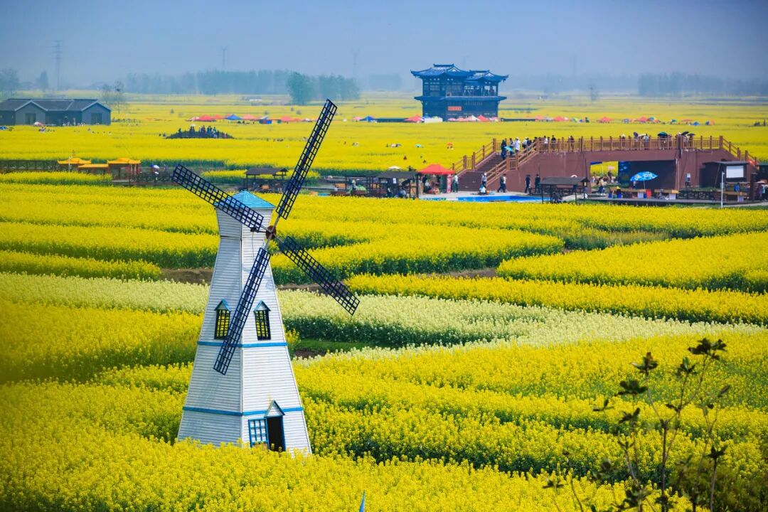 浪漫春季12个最美最推荐去的旅行地只需放心地赏花赏美景