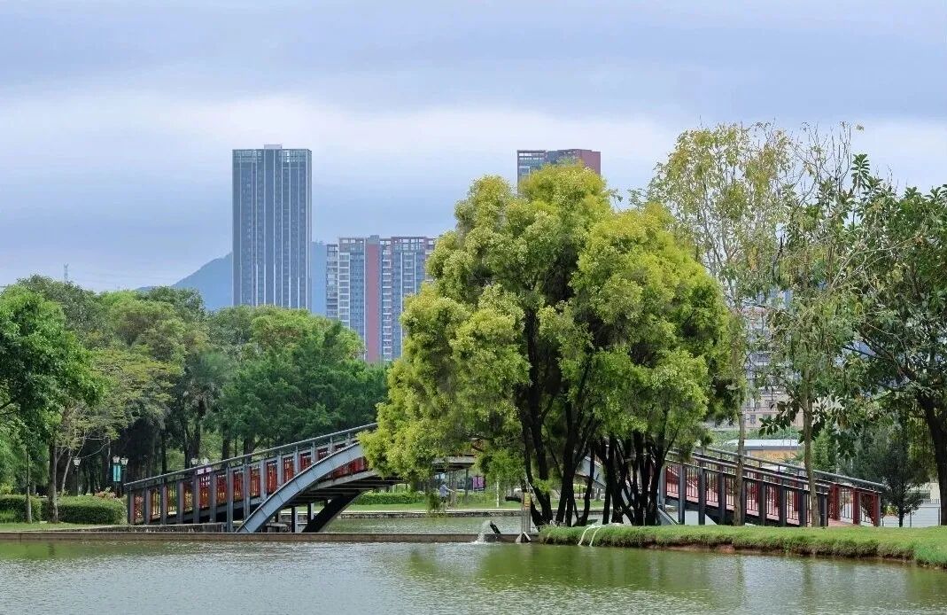 坪山区住宅环境