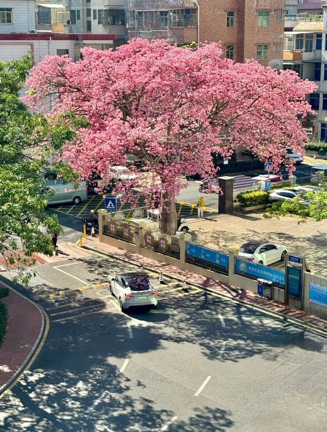 深圳城市风光