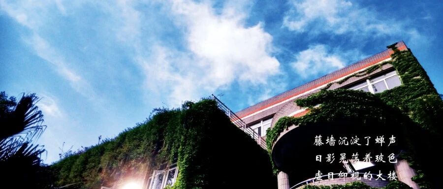 从“屡屡收到老师的投诉”到中考如愿以偿：初中三年从梦里走来