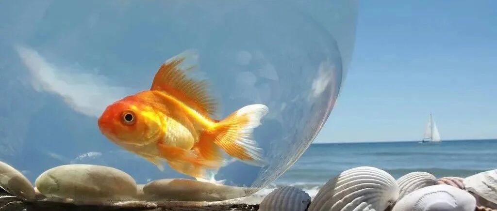 最苦最累还最不讨好，妈妈们再这样“勤快”下去，娃就废了！