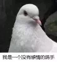 空洞骑士mod_空洞骑士自定义骑士mod_空洞骑士mod