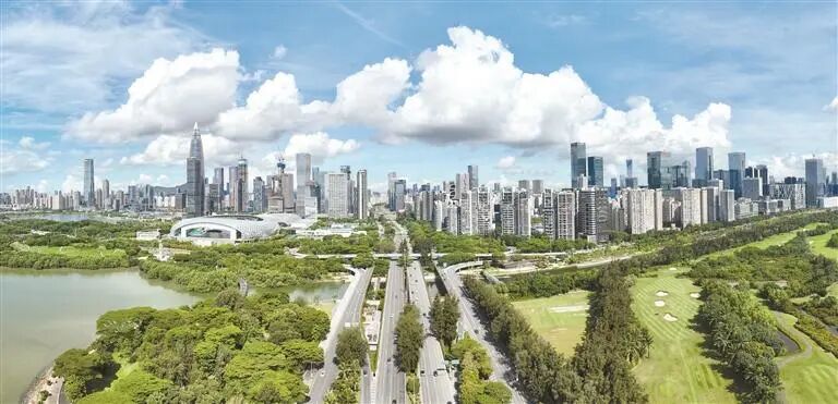 2024深圳优化营商环境大事