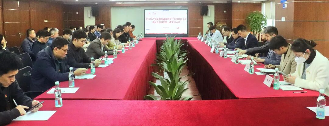 【协会动态】深圳市融资租赁行业协会2024年第一届党总支党员大会顺利召开