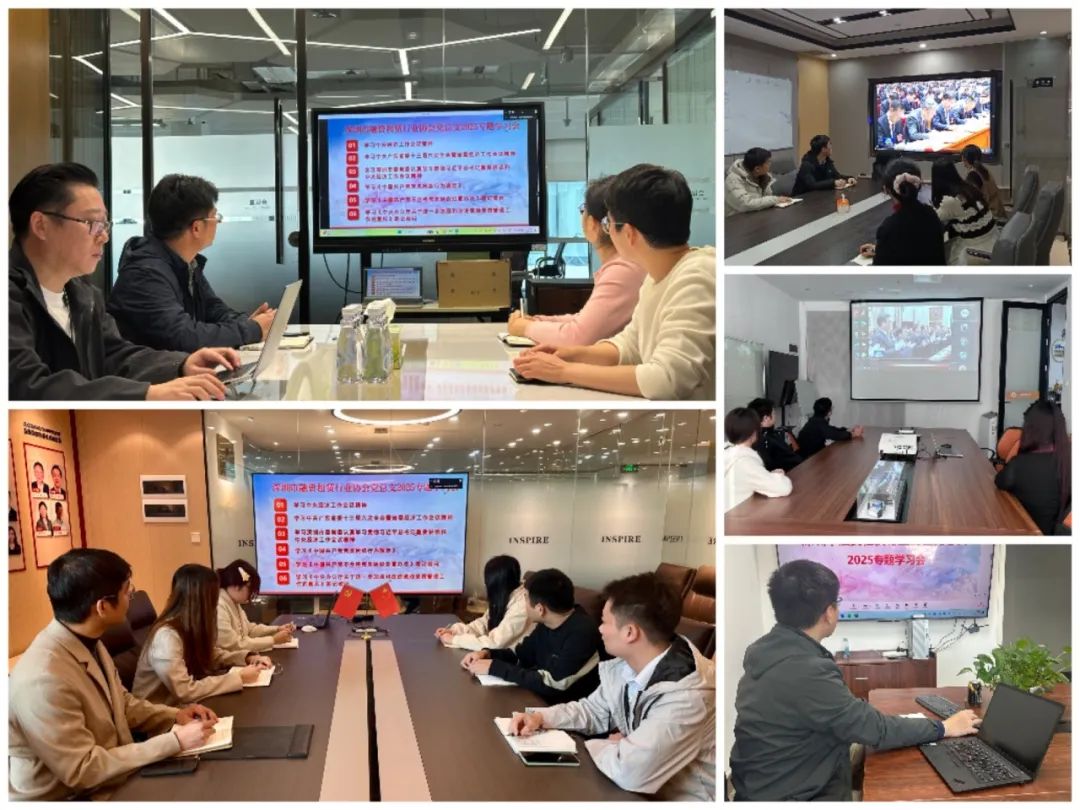 【党建动态】深圳市融资租赁行业协会党总支召开2025专题学习会