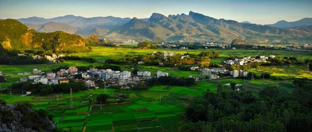 寒门学子，高考第一！