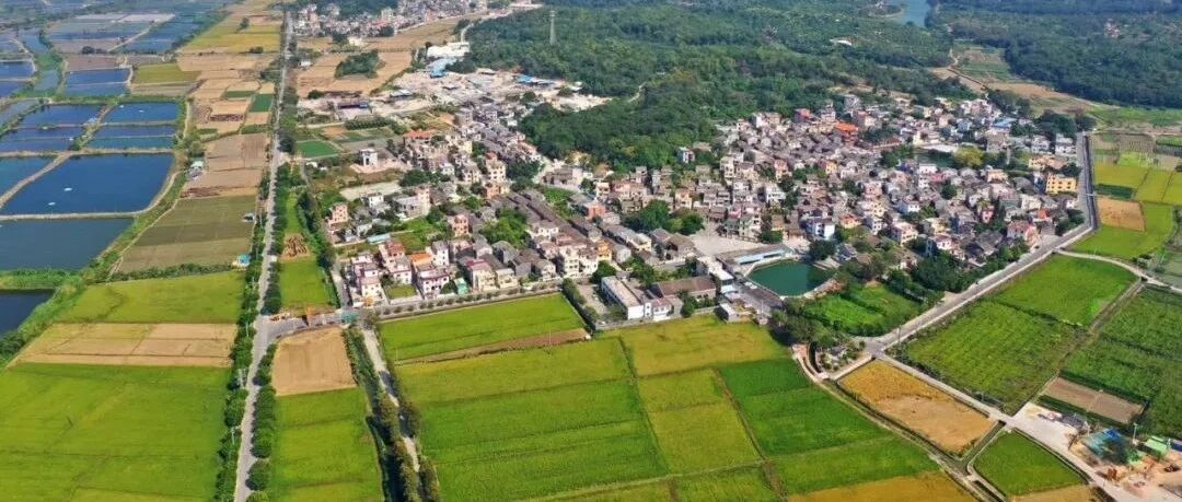 “乡村振兴看文化，这就是我们的宝贝”