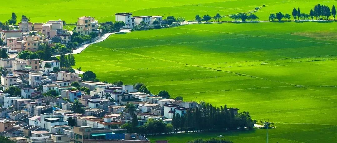 中山乡村振兴要有文化味！如何做好这篇大文章？