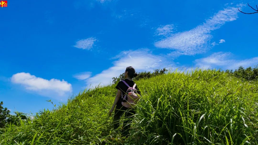 去爬山嗎？在中山發現一個好地方！ 旅遊 第29張